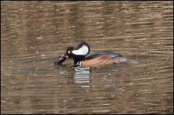 43_20120204_rgs_8917
