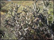 dscn0175