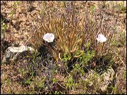 img_1954
