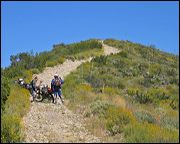 img_1967