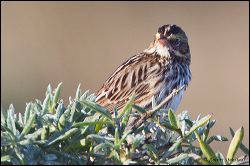 01_20111030_rgs_5048