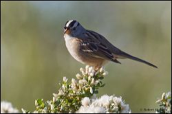 02_20111031_rgs_5148