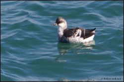 19_20111030_rgs_5077