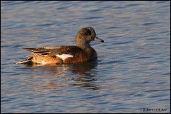 25_20111104_rgs_5320