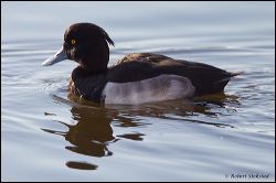 29_20111108_rgs_5648