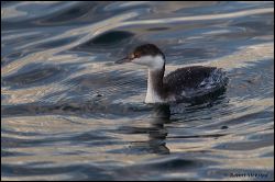35_20111104_rgs_5322