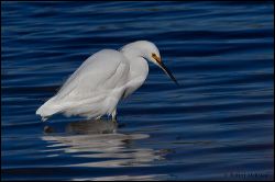 38_20111104_rgs_5394