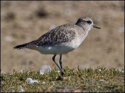 41_20111031_rgs_5198