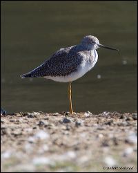 42_20111031_rgs_5203
