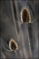 51_20111107_rgs_5524