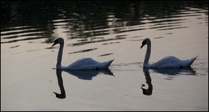 img_0719