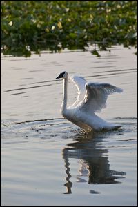img_0720