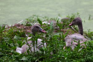 img_1195