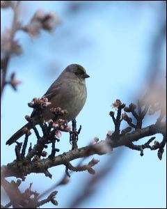 img_1668b