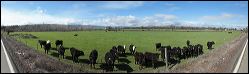 01_capay_valley_pano_2