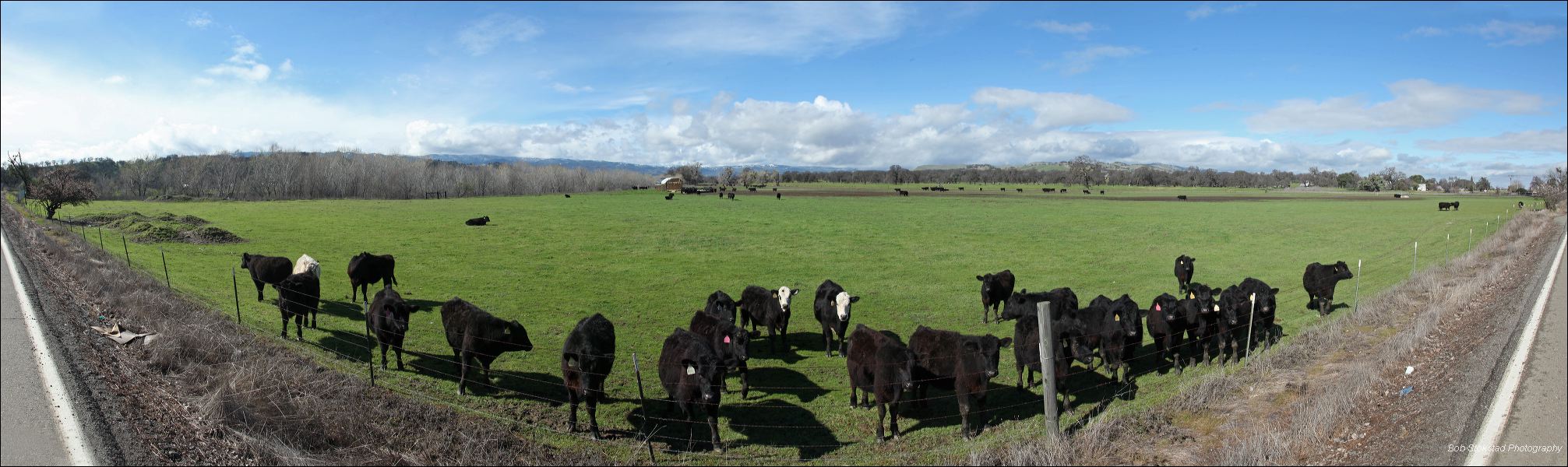 01_capay_valley_pano_2.jpg