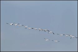 be3i0804