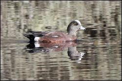img_0995