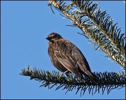 img_1008