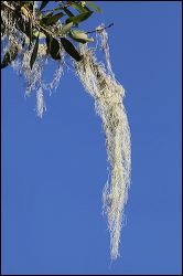 img_1063
