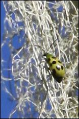 img_1063a