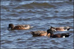 img_1075