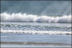 img_1125