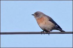 img_1244