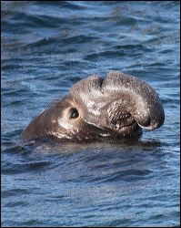 img_1311
