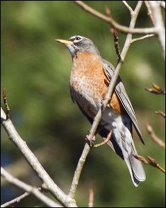 img_0421a