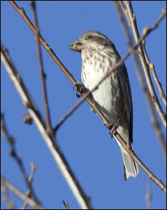 img_0423a