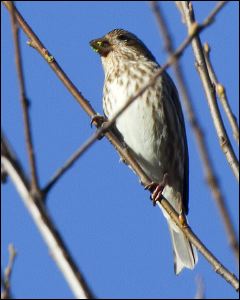 img_0424a