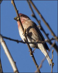 img_0425a