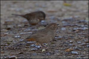 img_0431a