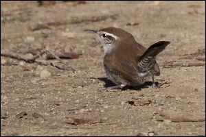 img_0438a