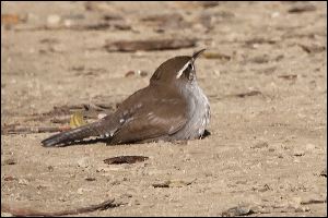 img_0439a