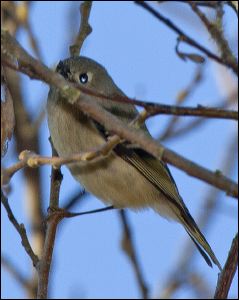img_0446a