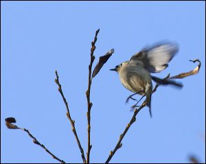 img_0447a
