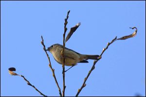 img_0449a