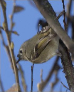 img_0450a