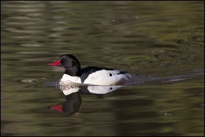 img_0458a