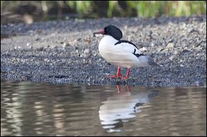 img_0474a