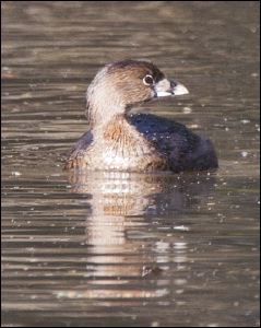 img_0499a