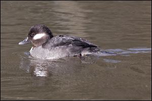 img_0503a