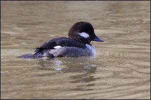 img_0505a