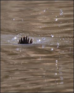img_0507a