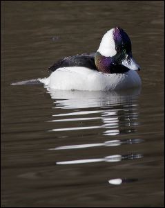 img_0509a