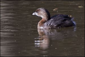 img_0515a