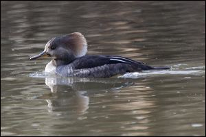 img_0522a