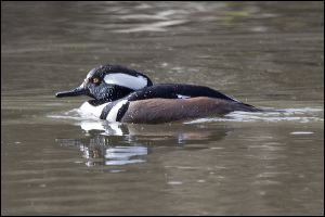 img_0525a